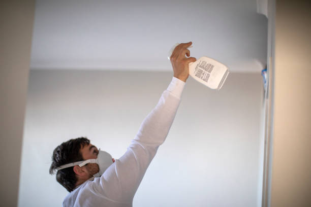 Best Kitchen Mold Remediation in New Carlisle, IN