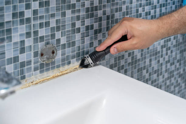 Best Health and Safety Mold Remediation in New Carlisle, IN