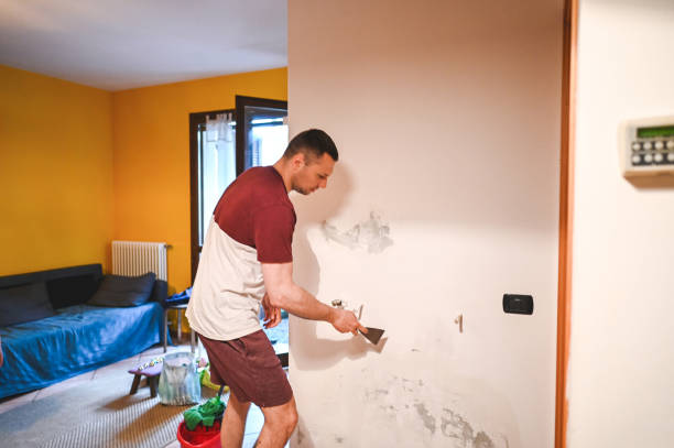 Best Localized Mold Remediation (e.g., coastal areas, humid climates) in New Carlisle, IN
